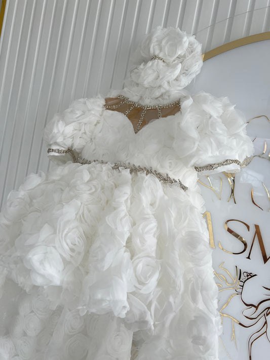 Rose Fabric Long Tail Stone Detailed Special Day Dress