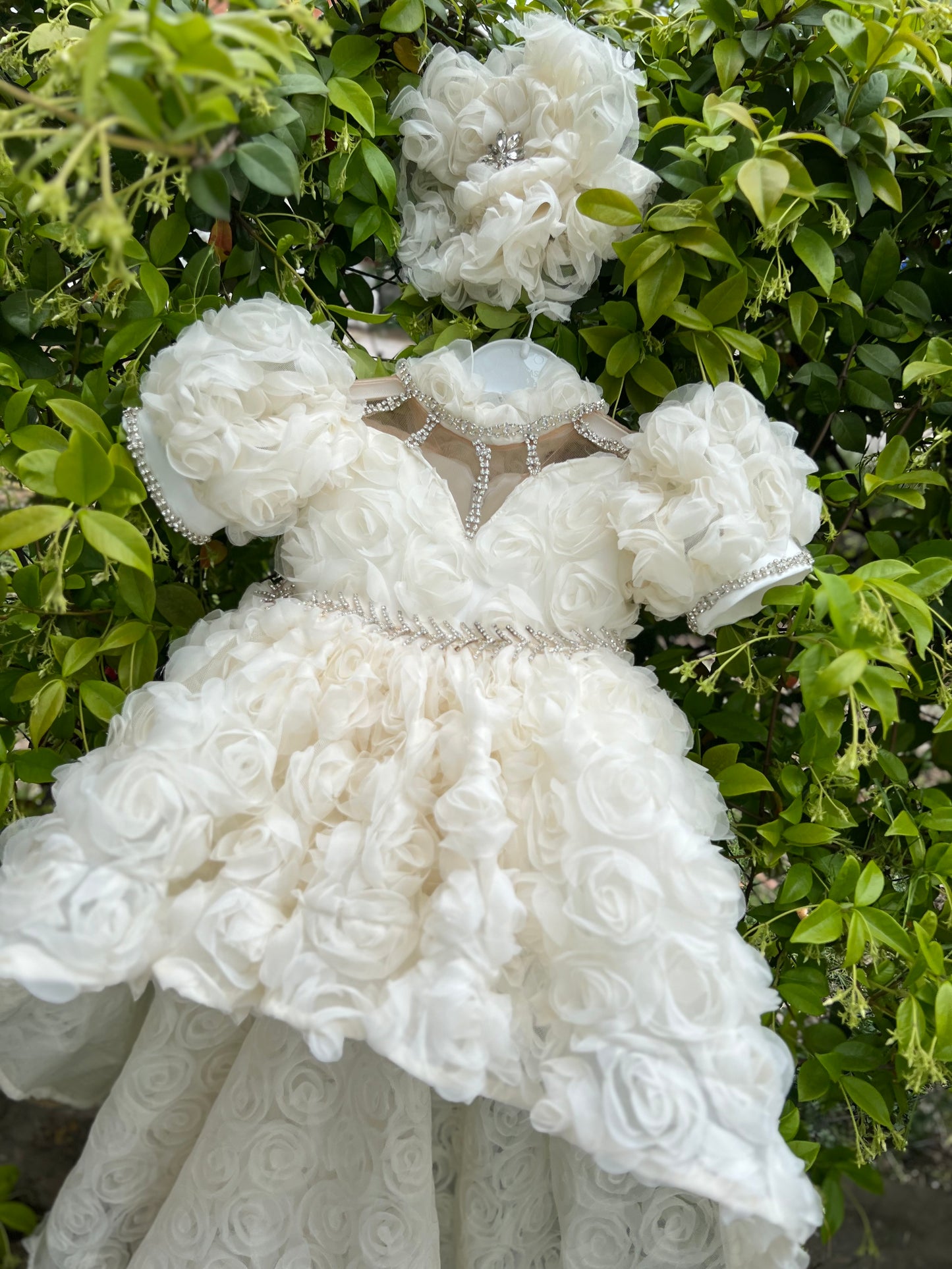 Rose Fabric Long Tail Stone Detailed Special Day Dress