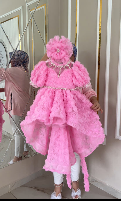 Rose Fabric Long Tail Stone Detailed Special Day Dress